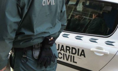 Operación antidroga en Madrid y Toledo: 7 detenidos por tener 583 plantas de marihuana