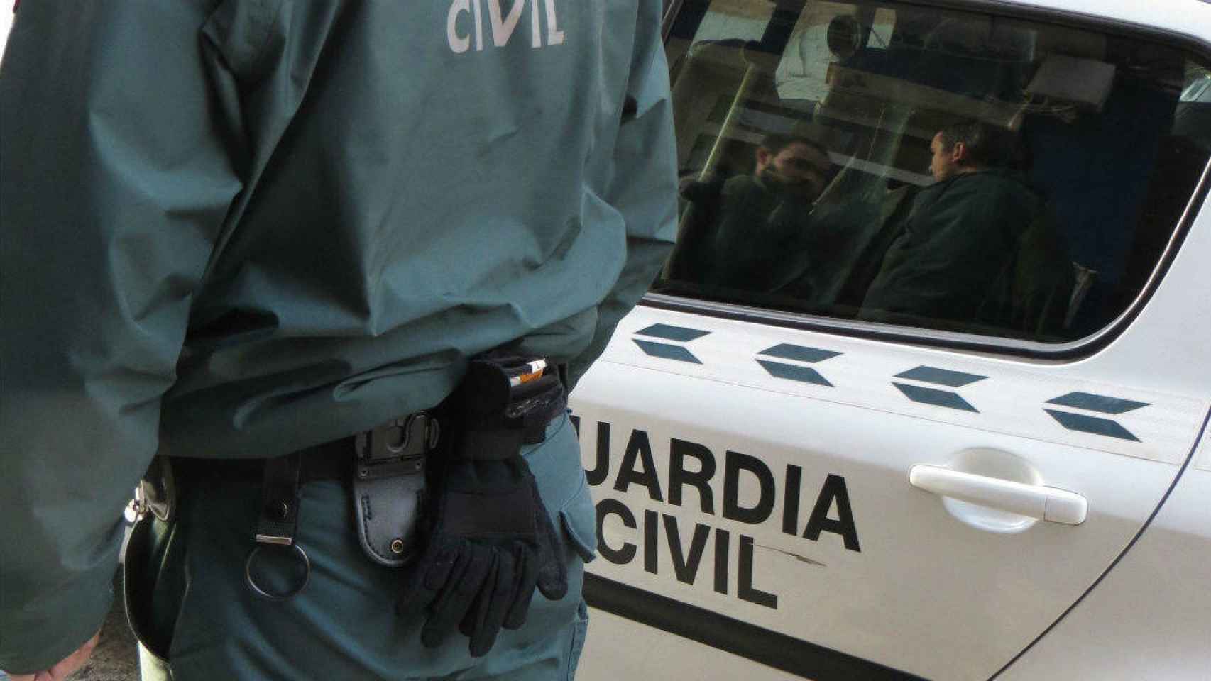 Operación antidroga en Madrid y Toledo: 7 detenidos por tener 583 plantas de marihuana