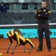 Vigilante de seguridad del futuro: conoce al perro robot Yellow de Prosegur