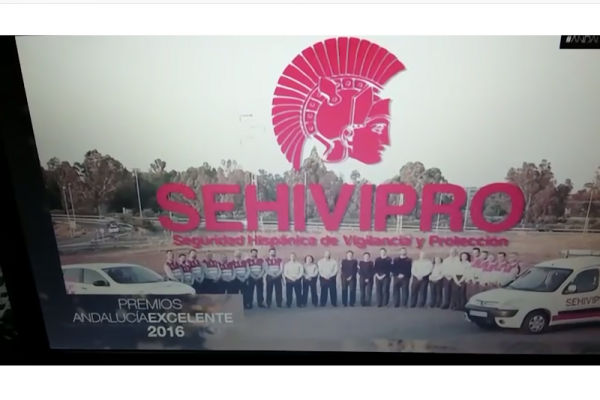 Seguridad Hispánica de Vigilancia y Protección, S.L. – SEHIVIPRO