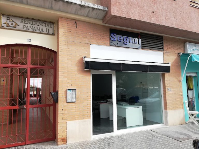 Vigilancia, Seguridad Privada y Protección de Personas: Guía Completa