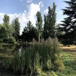 ¿Qué es ser un Detective Privado y cuáles son sus Funciones? Electro Alavesa