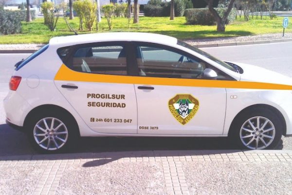 Progilsur Seguridad S.L.