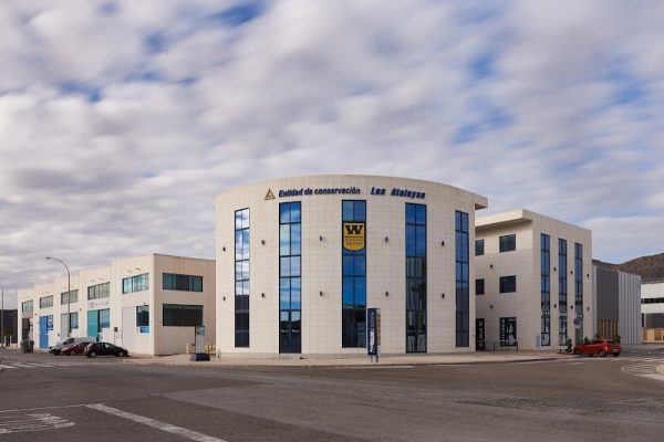 Wincontrol Seguridad