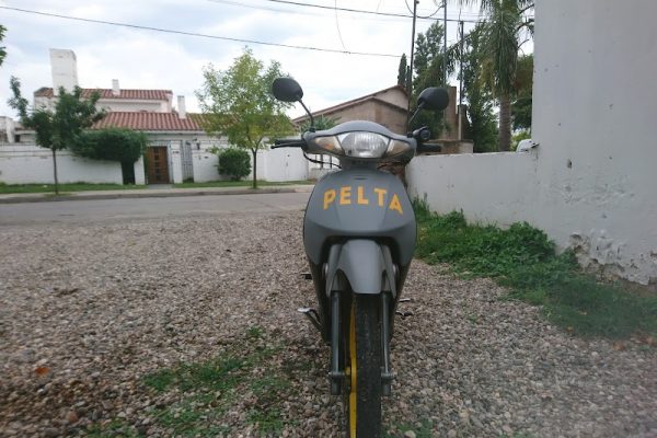 Pelta