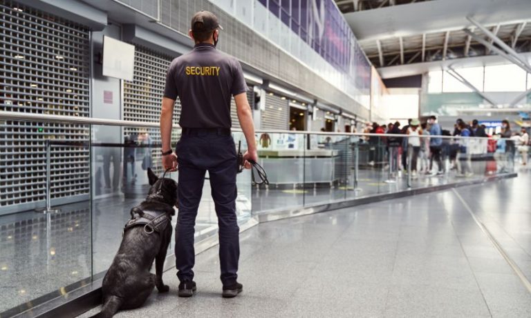 ¡Vigilante Explosivos, Escolta & Seguridad!