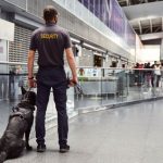 Funciones de un Vigilante de Explosivos: Guía Completa